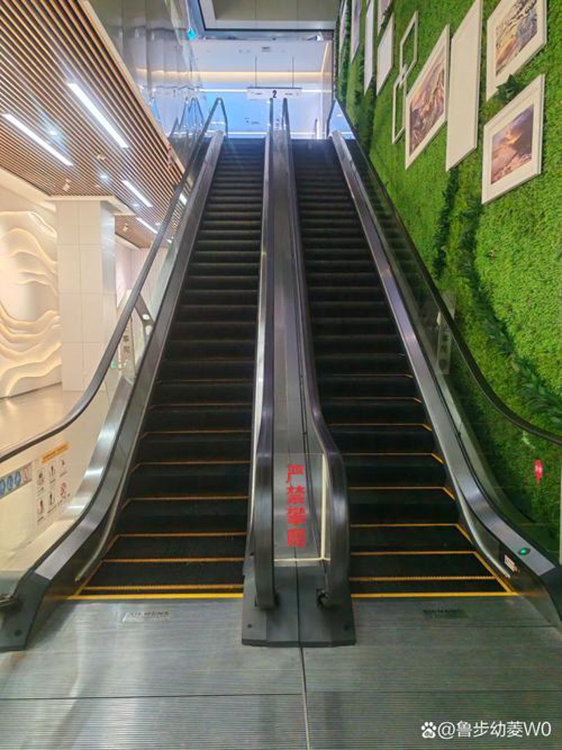 自动扶梯